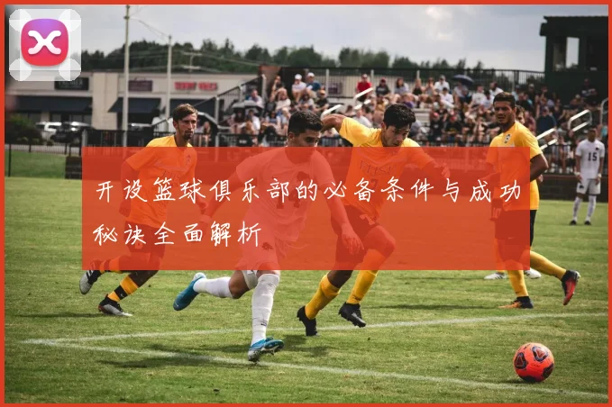 开设篮球俱乐部的必备条件与成功秘诀全面解析