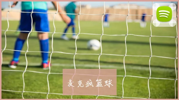 麦克疯篮球