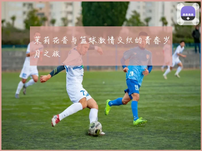 茉莉花香与篮球激情交织的青春岁月之旅