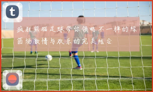 疯狂熊猫足球带你领略不一样的绿茵场激情与欢乐的完美结合